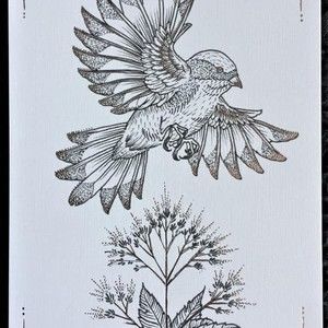 Meet your Posher, Trang